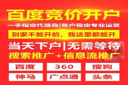 竞价推广公司案例：实战技巧与策略
